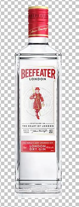 Gin Beffeater Tradicional